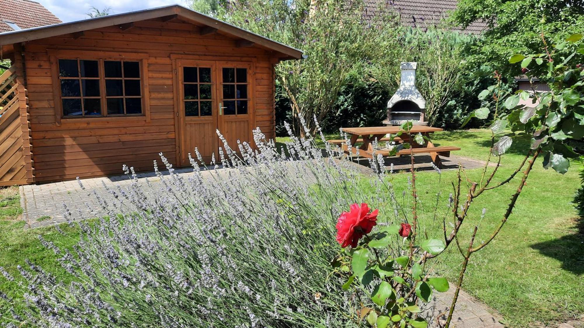 Ferienhaus Sasse Ferienwohnungen Mit Garten & Grill Molschow エクステリア 写真